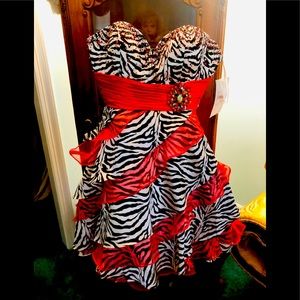 Gorgeous. Zebra/red cocktail dress! Classy… Sexy!